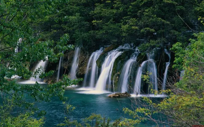 高标准自动化